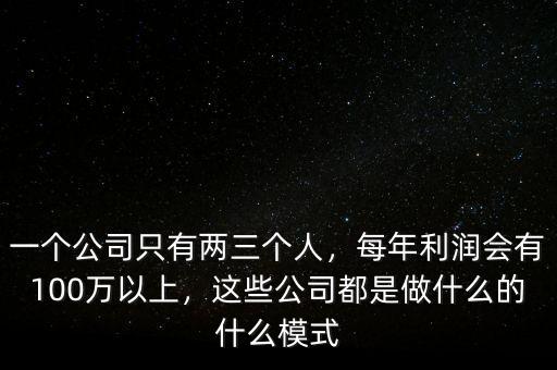 一個(gè)公司只有兩三個(gè)人，每年利潤(rùn)會(huì)有100萬以上，這些公司都是做什么的什么模式