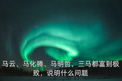 馬云、馬化騰、馬明哲，三馬都富到極致，說明什么問題