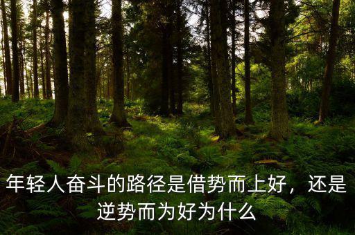 年輕人奮斗的路徑是借勢而上好，還是逆勢而為好為什么
