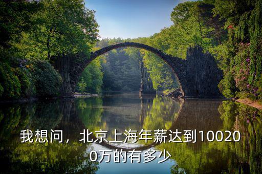 我想問(wèn)，北京上海年薪達(dá)到100200萬(wàn)的有多少
