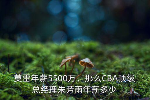 莫雷年薪5500萬(wàn)，那么CBA頂級(jí)總經(jīng)理朱芳雨年薪多少