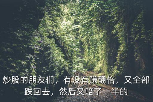 炒股的朋友們，有沒有賺翻倍，又全部跌回去，然后又賠了一半的