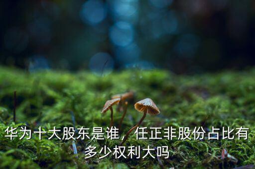 華為十大股東是誰(shuí)，任正非股份占比有多少權(quán)利大嗎