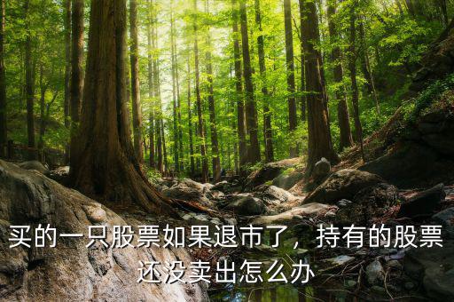 買的一只股票如果退市了，持有的股票還沒賣出怎么辦