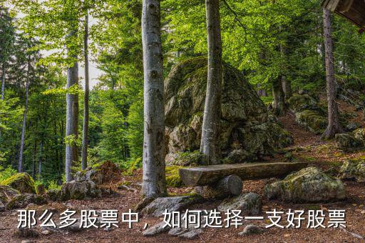 那么多股票中，如何選擇一支好股票