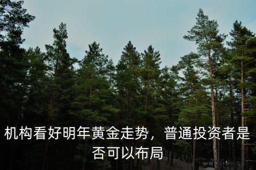機構(gòu)看好明年黃金走勢，普通投資者是否可以布局