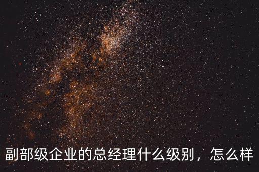 副部級企業(yè)的總經(jīng)理什么級別，怎么樣