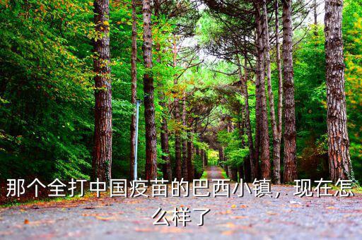 那個(gè)全打中國疫苗的巴西小鎮(zhèn)，現(xiàn)在怎么樣了