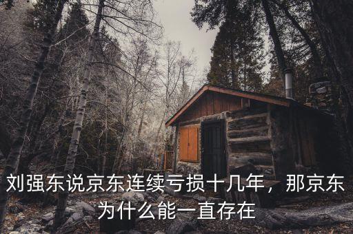 劉強(qiáng)東說(shuō)京東連續(xù)虧損十幾年，那京東為什么能一直存在