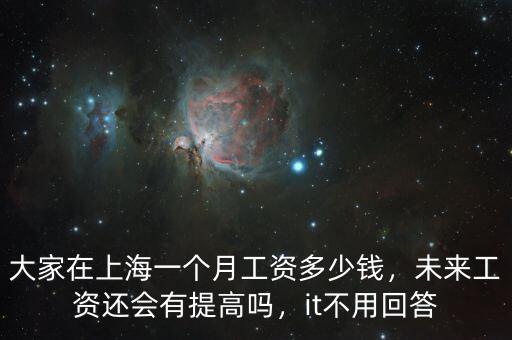 大家在上海一個月工資多少錢，未來工資還會有提高嗎，it不用回答