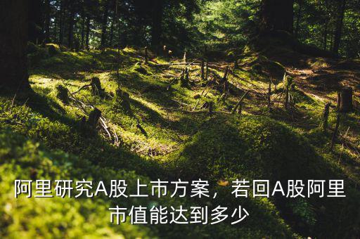阿里研究A股上市方案，若回A股阿里市值能達(dá)到多少