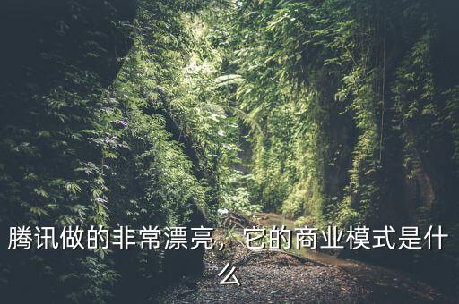 騰訊做的非常漂亮，它的商業(yè)模式是什么