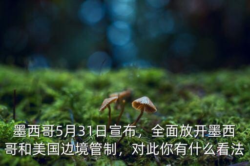 墨西哥5月31日宣布，全面放開墨西哥和美國邊境管制，對此你有什么看法