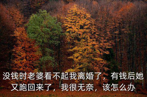 沒錢時老婆看不起我離婚了，有錢后她又跑回來了，我很無奈，該怎么辦