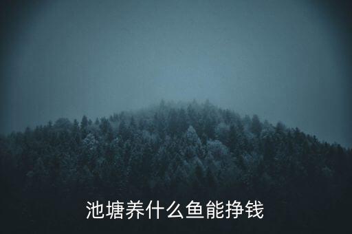 養(yǎng)什么魚(yú)保值,池塘養(yǎng)什么魚(yú)能掙錢