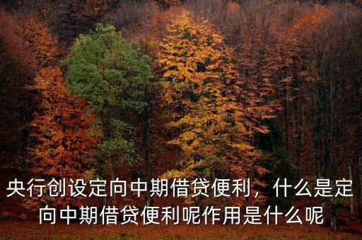 央行創(chuàng)設(shè)定向中期借貸便利，什么是定向中期借貸便利呢作用是什么呢