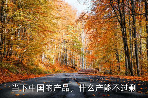 當(dāng)下中國(guó)的產(chǎn)品，什么產(chǎn)能不過(guò)剩