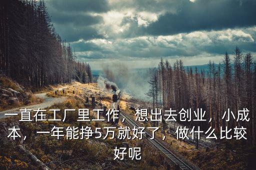 一直在工廠里工作，想出去創(chuàng)業(yè)，小成本，一年能掙5萬就好了，做什么比較好呢