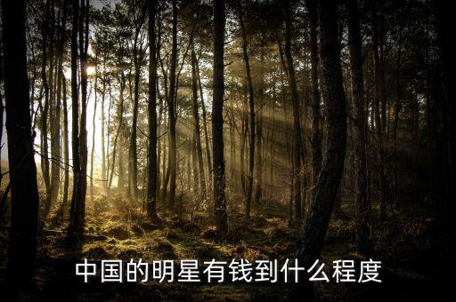 中國(guó)的明星有錢到什么程度