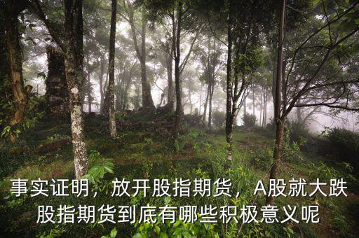 事實(shí)證明，放開股指期貨，A股就大跌股指期貨到底有哪些積極意義呢