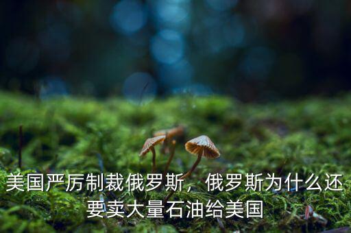 美國嚴(yán)厲制裁俄羅斯，俄羅斯為什么還要賣大量石油給美國