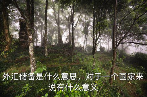 外匯儲(chǔ)備是什么意思，對(duì)于一個(gè)國(guó)家來說有什么意義