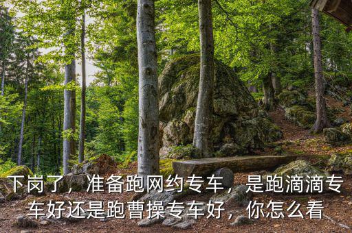 下崗了，準備跑網(wǎng)約專車，是跑滴滴專車好還是跑曹操專車好，你怎么看
