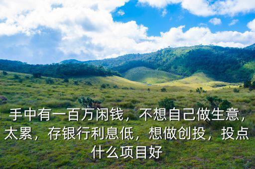 手中有一百萬閑錢，不想自己做生意，太累，存銀行利息低，想做創(chuàng)投，投點什么項目好