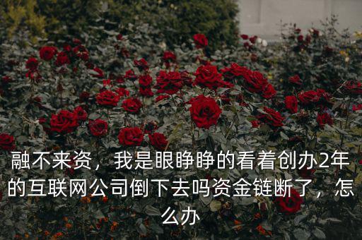 融不來(lái)資，我是眼睜睜的看著創(chuàng)辦2年的互聯(lián)網(wǎng)公司倒下去嗎資金鏈斷了，怎么辦