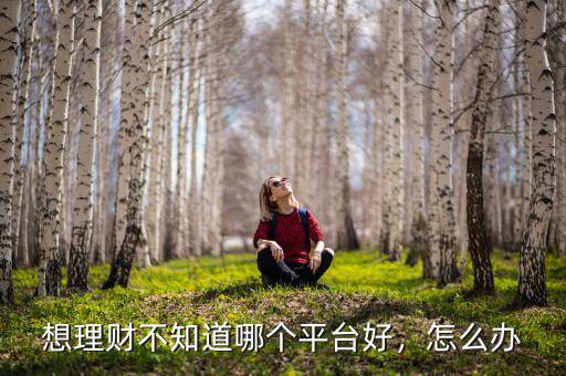 想理財(cái)不知道哪個(gè)平臺(tái)好，怎么辦