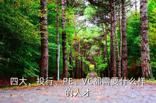四大、投行、PE、VC都需要什么樣的人才