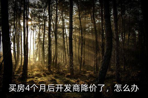 買(mǎi)房4個(gè)月后開(kāi)發(fā)商降價(jià)了，怎么辦
