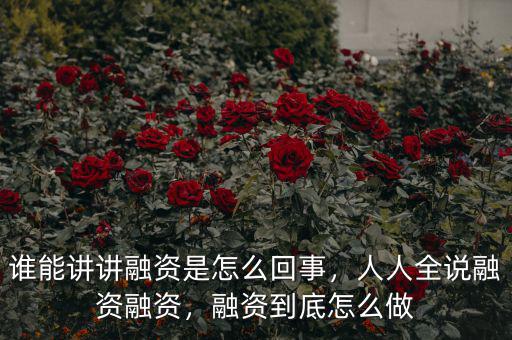誰(shuí)能講講融資是怎么回事，人人全說(shuō)融資融資，融資到底怎么做