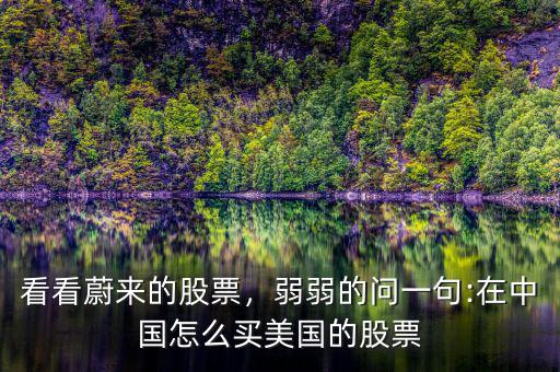 看看蔚來的股票，弱弱的問一句:在中國怎么買美國的股票