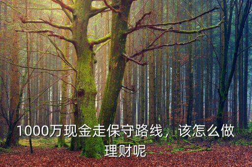 1000萬現(xiàn)金走保守路線，該怎么做理財呢
