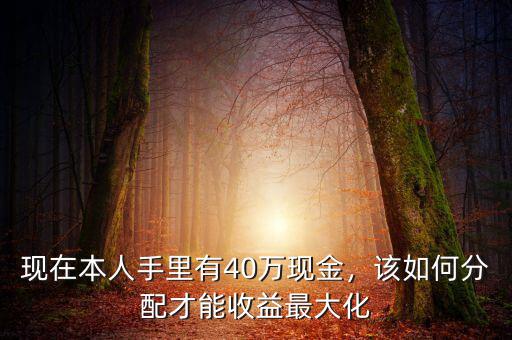 現(xiàn)在本人手里有40萬現(xiàn)金，該如何分配才能收益最大化