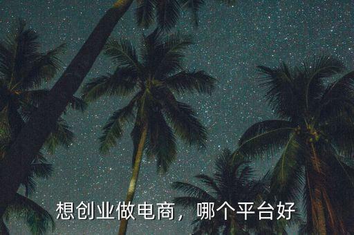 想創(chuàng)業(yè)做電商，哪個平臺好
