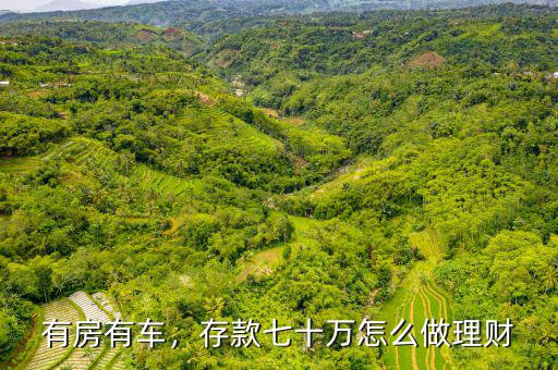 有房有車(chē)，存款七十萬(wàn)怎么做理財(cái)