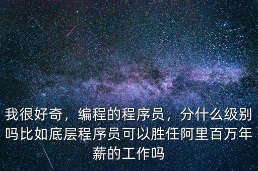 我很好奇，編程的程序員，分什么級別嗎比如底層程序員可以勝任阿里百萬年薪的工作嗎