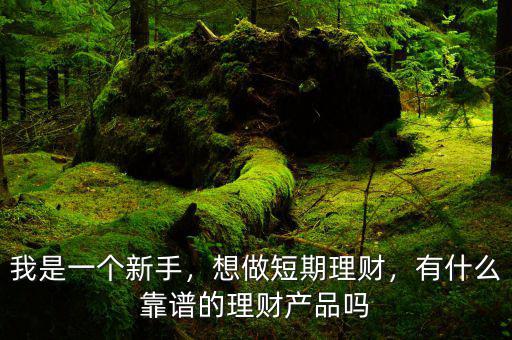 我是一個新手，想做短期理財，有什么靠譜的理財產(chǎn)品嗎