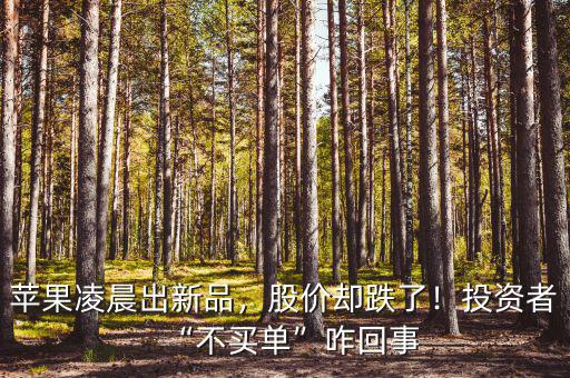 蘋果凌晨出新品，股價(jià)卻跌了！投資者“不買單”咋回事