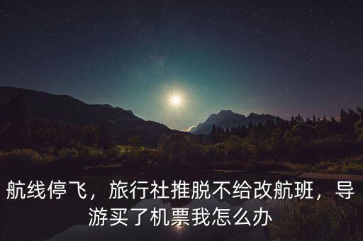 航線停飛，旅行社推脫不給改航班，導(dǎo)游買了機(jī)票我怎么辦