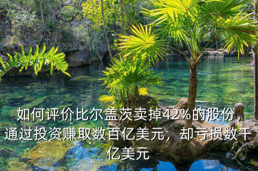 如何評價比爾蓋茨賣掉42%的股份，通過投資賺取數(shù)百億美元，卻虧損數(shù)千億美元