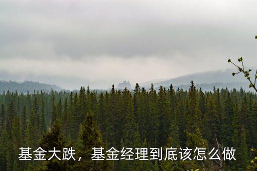 基金大跌，基金經(jīng)理到底該怎么做