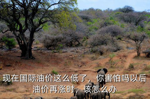 現(xiàn)在國際油價這么低了，你害怕嗎以后油價再漲時，該怎么辦