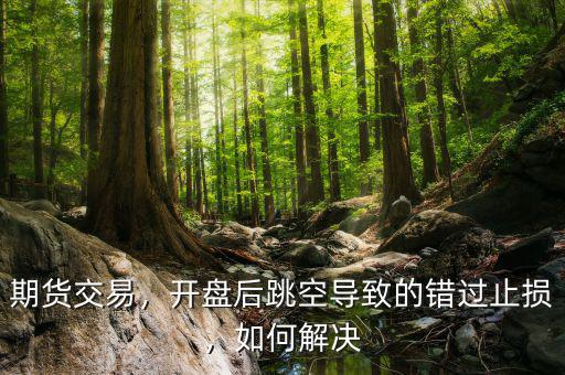 期貨交易，開盤后跳空導致的錯過止損，如何解決