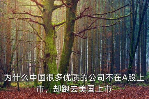 為什么中國很多優(yōu)質的公司不在A股上市，卻跑去美國上市