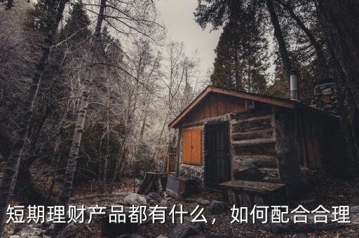 短期理財是什么意思,短期理財產品都有什么
