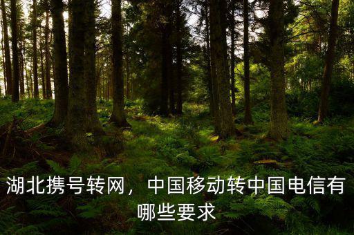 湖北攜號轉網，中國移動轉中國電信有哪些要求