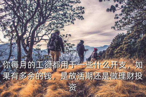 你每月的工資都用于一些什么開支，如果有多余的錢，是放活期還是做理財(cái)投資